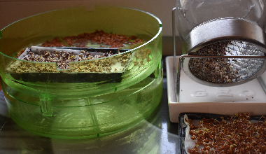 Übersichtsbild 23